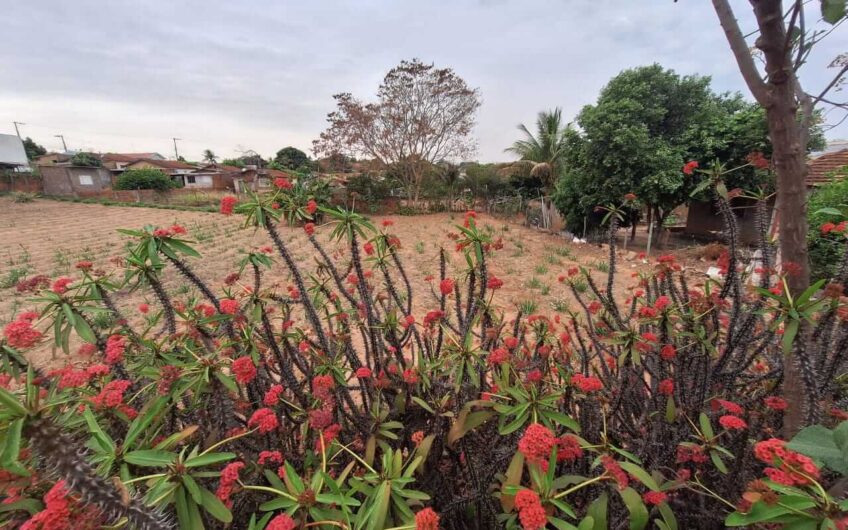 Terreno urbano à venda em Lucélia