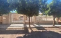 Vende-se Imóvel Residencial com amplo terreno em Lucélia -SP