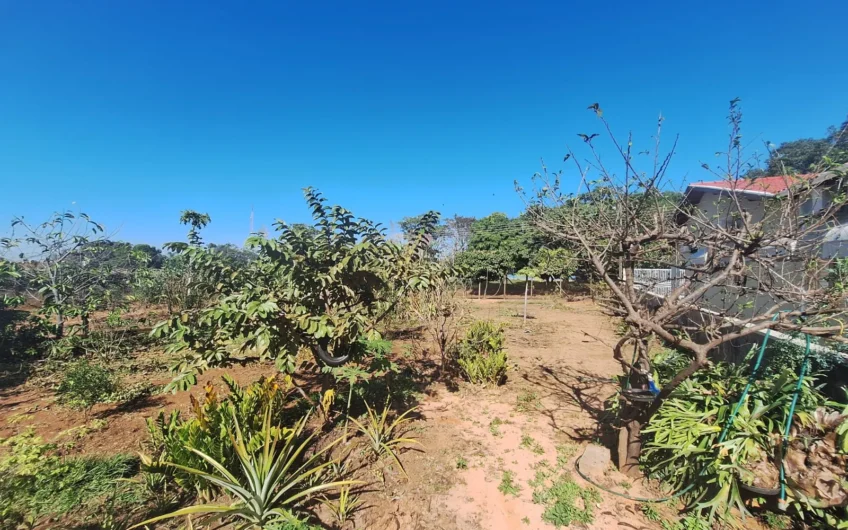 Vende-se Imóvel Residencial com amplo terreno em Lucélia -SP